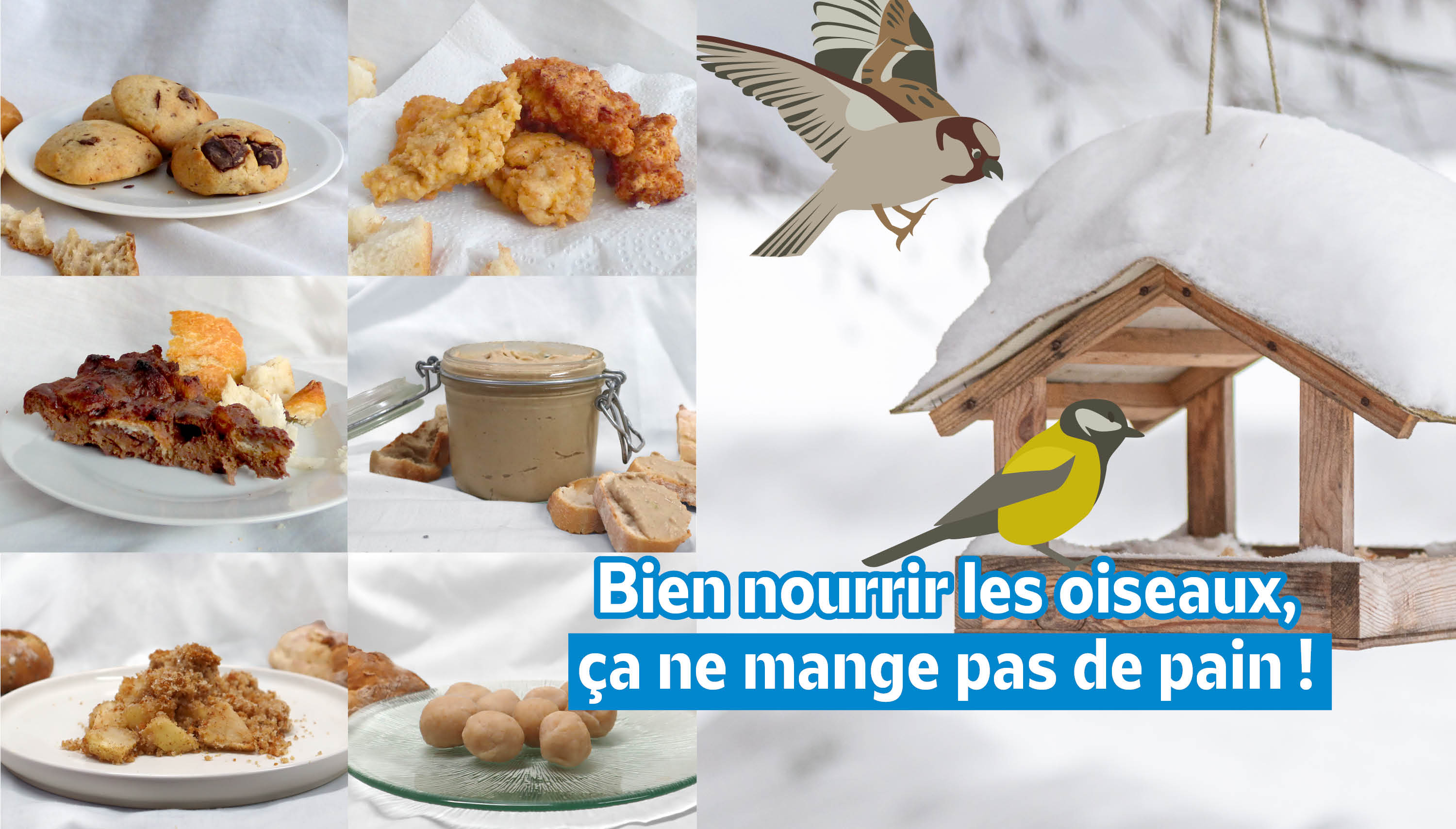Recettes avec du pain dur qui ne sera pas donné aux canards !
